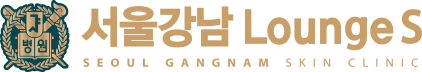 서울강남 Lounge S 로고