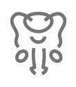 전립선 아이콘